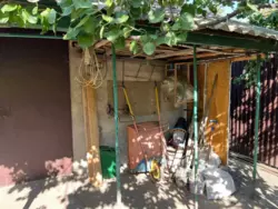 ��������� ��� ������������, ����, �������, ������������ ���� 12