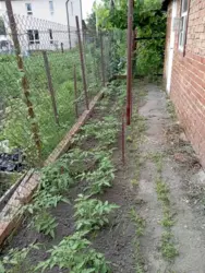 Продается дом Сумская, Сумы, Ковпаковский, Добровільна фото 5 Продается дом Сумская, Сумы, Ковпаковский, Добровільна фото 5