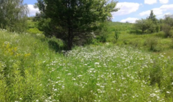 Продается дом Сумская, Сумский, Фрунзенка фото 3 Продается дом Сумская, Сумский, Фрунзенка фото 3