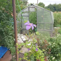 ��������� ��� �� ����������, �/� �������, ����, �������, �������� ���� 4