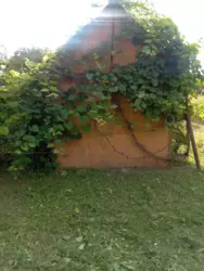 Продается дом Сумская, Сумский, Новоселица, станція Маяк с/т Хімік-2 фото 4 Продается дом Сумская, Сумский, Новоселица, станція Маяк с/т Хімік-2 фото 4