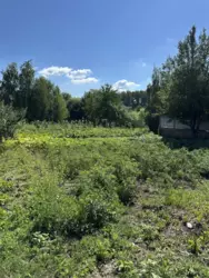 Продается дом Сумская, Сумский, Косовщина фото 2 Продается дом Сумская, Сумский, Косовщина фото 2