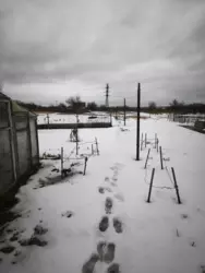 ��������� ��� ��������, ����, �������, �������� ���� 2