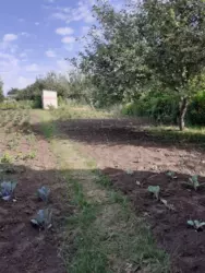 Продается дом Сумская, Сумы, Заречный, р-н Рибгосп фото 5 Продается дом Сумская, Сумы, Заречный, р-н Рибгосп фото 5