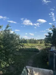 Продается дом / Старе село, Красное, Сумский, Сумская фото 14 Продается дом / Старе село, Красное, Сумский, Сумская фото 14