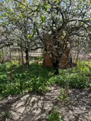 Продается дом Сумская, Сумы, Заречный, Баранівка фото 6 Продается дом Сумская, Сумы, Заречный, Баранівка фото 6