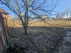 ��������� ��� ��������� �����, ����, �������, ������������ ���� 7