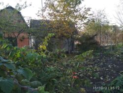 Дача Барановка фото 3 Дача Барановка фото 3