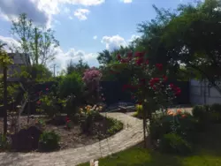 Продается дом Сумская, Сумы, Ковпаковский, за Косівщиною фото 4 Продается дом Сумская, Сумы, Ковпаковский, за Косівщиною фото 4