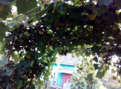 Продается дом Сумская, Сумский фото 17 Продается дом Сумская, Сумский фото 17