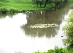 Продается дом Сумская, Сумы, Ковпаковский, Веретиновка фото 6 Продается дом Сумская, Сумы, Ковпаковский, Веретиновка фото 6