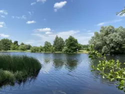 Продается дом Гетьманський парк, Климентово, Ахтырский, Сумская фото 12 Продается дом Гетьманський парк, Климентово, Ахтырский, Сумская фото 12