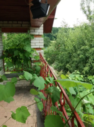 Продается дом Сумская, Сумский, Бездрык фото 5 Продается дом Сумская, Сумский, Бездрык фото 5