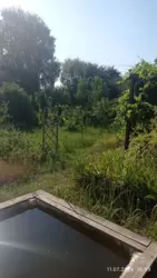 Продается дом с/т Чисті пруди, Сумы, Сумская, Заречный фото 12 Продается дом с/т Чисті пруди, Сумы, Сумская, Заречный фото 12