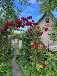 Продается дом Сумская, Сумы, Заречный, Олдиш фото 1 Продается дом Сумская, Сумы, Заречный, Олдиш фото 1