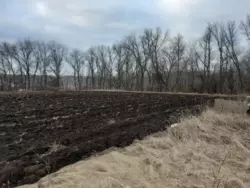 Продается дом Сумская, Сумский, Сад, С/ т 'Садівник - 1'. фото 7 Продается дом Сумская, Сумский, Сад, С/ т 'Садівник - 1'. фото 7