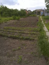 Продается дом Сумская, Сумы, кооп Красносільський фото 2 Продается дом Сумская, Сумы, кооп Красносільський фото 2