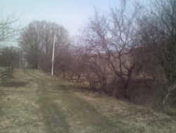 Продается дом Сумская, Сумский фото 7 Продается дом Сумская, Сумский фото 7