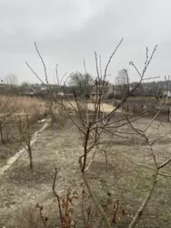 ��������� ��� ����, ������� ���� 7