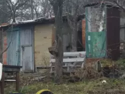 Продается дом с/т Барвінок за Аеропортом, Сумы, Сумская, Заречный фото 5 Продается дом с/т Барвінок за Аеропортом, Сумы, Сумская, Заречный фото 5