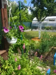 Продается дом Сумская, Сумы, Ковпаковский, за Косівщиною фото 5 Продается дом Сумская, Сумы, Ковпаковский, за Косівщиною фото 5