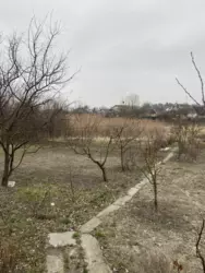 ��������� ��� ����, ������� ���� 8