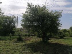 Продается дом Сумская, Сумы, Барановка фото 7 Продается дом Сумская, Сумы, Барановка фото 7