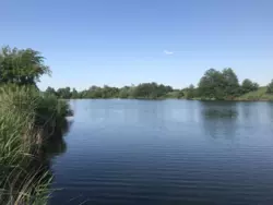 Продается дом Сумская, Сумы, Косовщина фото 8 Продается дом Сумская, Сумы, Косовщина фото 8