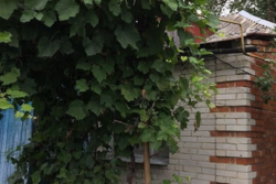 Продается дом Сумская, Сумский, Красное фото 6 Продается дом Сумская, Сумский, Красное фото 6