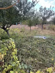 ��������� ��� �/� ճ��, ����, �������, �������� ���� 5