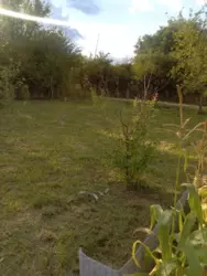 Продается дом Сумская, Сумский, Новоселица, станція Маяк с/т Хімік-2 фото 12 Продается дом Сумская, Сумский, Новоселица, станція Маяк с/т Хімік-2 фото 12