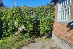 Продается дом Низы, Сумский, Сумская фото 3 Продается дом Низы, Сумский, Сумская фото 3