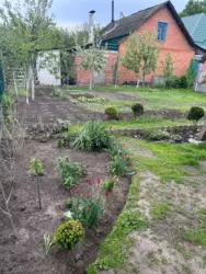 Продается дом Баранівка, Липняк, Сумский, Сумская фото 15 Продается дом Баранівка, Липняк, Сумский, Сумская фото 15