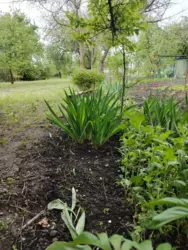 Продается дом Сумская, Сумы, Ковпаковский, Білопільський шлях, с/т Фрунзенець фото 2 Продается дом Сумская, Сумы, Ковпаковский, Білопільський шлях, с/т Фрунзенець фото 2