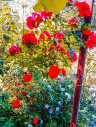 Продается дом Сумская, Сумы фото 5 Продается дом Сумская, Сумы фото 5