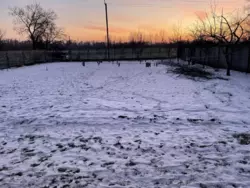 ��������� ��� ��������, ����, �������, ������������ ���� 17