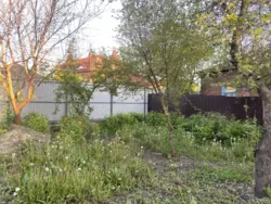 Продается дом Сумская, Сумы, Ковпаковский, Ярослава Мудрого вул. фото 4 Продается дом Сумская, Сумы, Ковпаковский, Ярослава Мудрого вул. фото 4