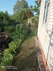 дача на Баранівці фото 7 дача на Баранівці фото 7