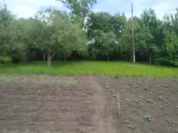 Продается дом Сумская, Сумский, Севериновка, с.Перехрестівка 7 км фото 13 Продается дом Сумская, Сумский, Севериновка, с.Перехрестівка 7 км фото 13