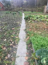 ��������� ��� �������, ����, ��������, ��������� ���� 5