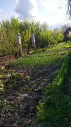 Продается дом Сумская, Сумы, Заречный, Баранівка фото 5 Продается дом Сумская, Сумы, Заречный, Баранівка фото 5