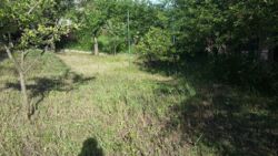 Продается дом Сумская, Сумы, Заречный, Аеропорт, Авіатор фото 4 Продается дом Сумская, Сумы, Заречный, Аеропорт, Авіатор фото 4