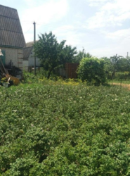 Продается дом Сумская, Сумы фото 2 Продается дом Сумская, Сумы фото 2