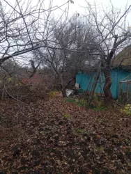 ��������� ��� �������, ����, ������������, ������������ ����, �/� ����������, ���. ������ ���� 1