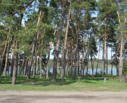 Продается дом Сумская, Сумский, Писаровка, ул. Лесная 108 фото 5 Продается дом Сумская, Сумский, Писаровка, ул. Лесная 108 фото 5