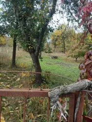 Продается дом Хімік с/т Строітель-1, Сумы, Сумская, Заречный фото 1 Продается дом Хімік с/т Строітель-1, Сумы, Сумская, Заречный фото 1