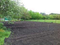 Продается дом Сумская, Сумы, Ковпаковский фото 5 Продается дом Сумская, Сумы, Ковпаковский фото 5