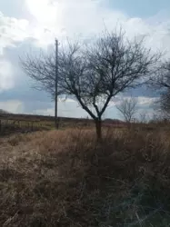 Продается дом Сумская, Сумы, Ковпаковский, Від зупинки'Сад' 15хв. пішки. с/т Глобус фото 3 Продается дом Сумская, Сумы, Ковпаковский, Від зупинки'Сад' 15хв. пішки. с/т Глобус фото 3