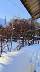 Продается дом с/т Чисті пруди, Сумы, Сумская, Заречный фото 2 Продается дом с/т Чисті пруди, Сумы, Сумская, Заречный фото 2