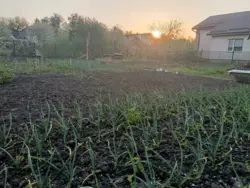 Продается дом Сумская, Сумы, Ковпаковский, р-н центрального ринку фото 9 Продается дом Сумская, Сумы, Ковпаковский, р-н центрального ринку фото 9